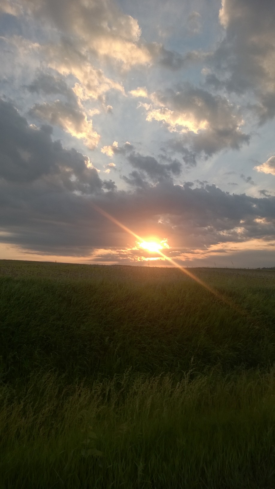 Sunset over field in Iowa