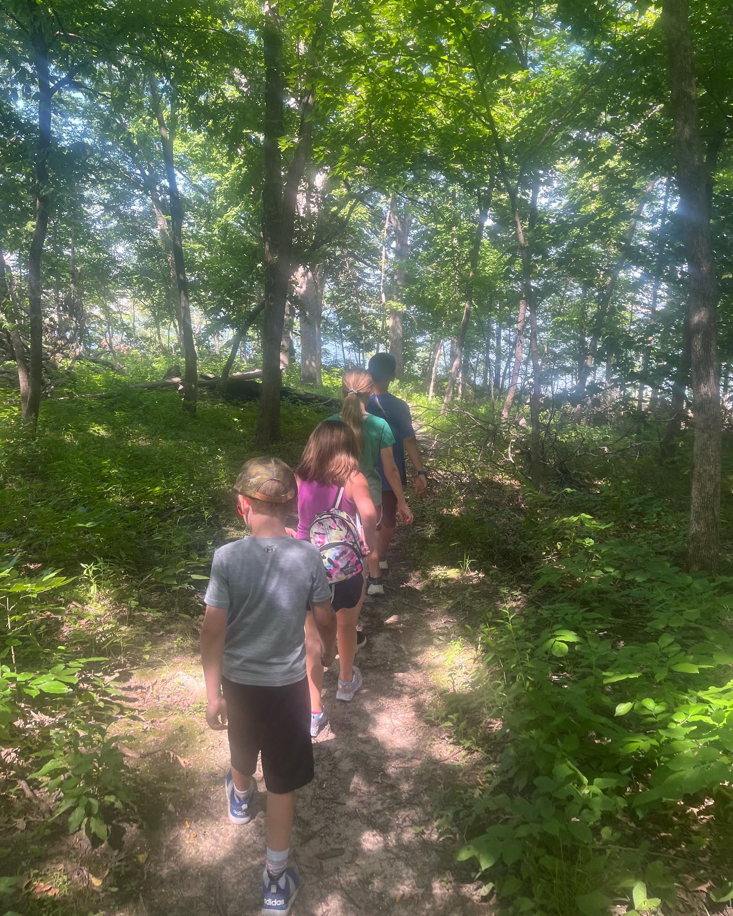 Children walking on trail in the woods