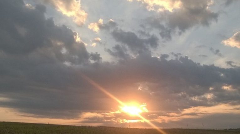 Sunset through clouds over corn field